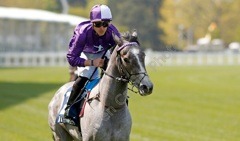 Maximum-Impact-0007 
 MAXIMUM IMPACT (Kevin Stott) winner of The Royal Ascot Two-Year-Old Trial EBF Conditions Stakes
Ascot 3 May 2023 - Pic Steven Cargill / Racingfotos.com