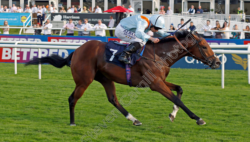 Red-Zone-Hero-0003 
 RED ZONE HERO (Ryan Moore) wins The Hippo Clean Edge Masking Tape Confined Nursery
Doncaster 15 Sep 2023 - Pic Steven Cargill / Racingfotos.com