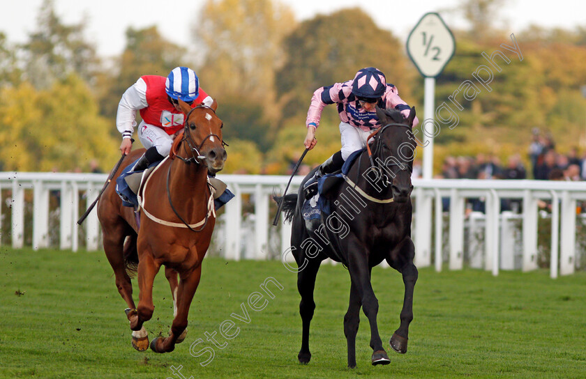 Dominating-0002 
 DOMINATING (left, P J McDonald) beats ALTAAYIL (right) in The Canaccord Genuity Gordon Carter Handicap Ascot 6 Oct 2017 - Pic Steven Cargill / Racingfotos.com