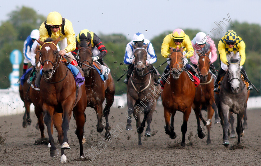 Mawakib-0005 
 MAWAKIB (Andrea Atzeni) wins The 32Red.com Handicap
Kempton 5 Jun 2019 - Pic Steven Cargill / Racingfotos.com