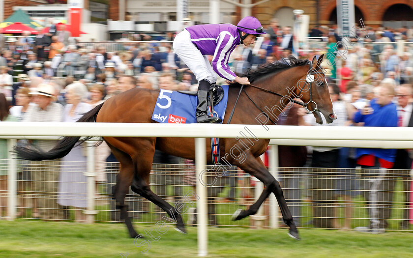 Continuous-0009 
 CONTINUOUS (Ryan Moore) winner of The Sky Bet Great Voltigeur Stakes
York 23 Aug 2023 - Pic Steven Cargill / Racingfotos.com