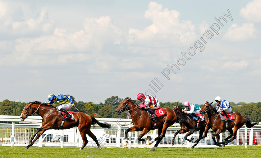 Rum-Runner-0002 
 RUM RUNNER (Sean Levey) beats ENZEMBLE (centre) and HISTORY WRITER (right) in The British Stallion Studs EBF Maiden Stakes Div1 Sandown 1 Sep 2017 - Pic Steven Cargill / Racingfotos.com