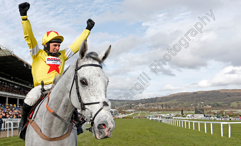 Politologue-0016 
 POLITOLOGUE (Harry Skelton) after The Betway Queen Mother Champion Chase
Cheltenham 11 Mar 2020 - Pic Steven Cargill / Racingfotos.com