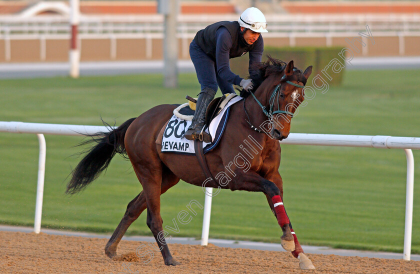 Revamp-0001 
 REVAMP exercising for Greek trainer Christos Theodorakis
Meydan, Dubai, 3 Feb 2022 - Pic Steven Cargill / Racingfotos.com