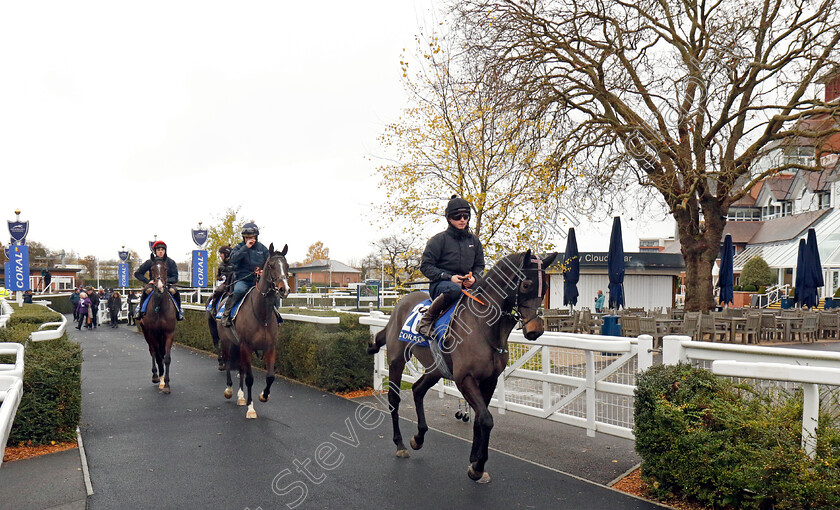 Pleasington-0002 
 PLEASINGTON
Coral Gold Cup gallops morning Newbury 19 Nov 20234 - Pic Steven Cargill / Racingfotos.com