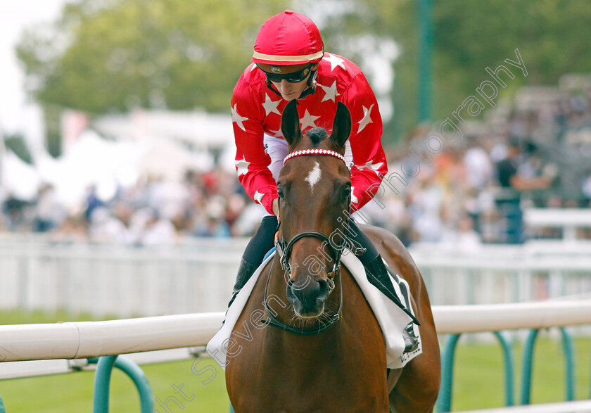 Woodchuck-0002 
 WOODCHUCK (S Planque)
Deauville 13 Aug 2023 - Pic Steven Cargill / Racingfotos.com