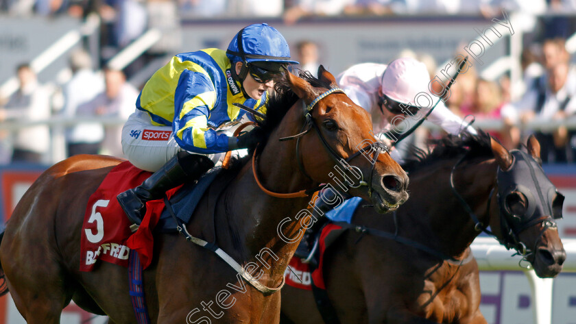 Trueshan-0006 
 TRUESHAN (Hollie Doyle) wins The Betfred Doncaster Cup
Doncaster 15 Sep 2023 - Pic Steven Cargill / Racingfotos.com