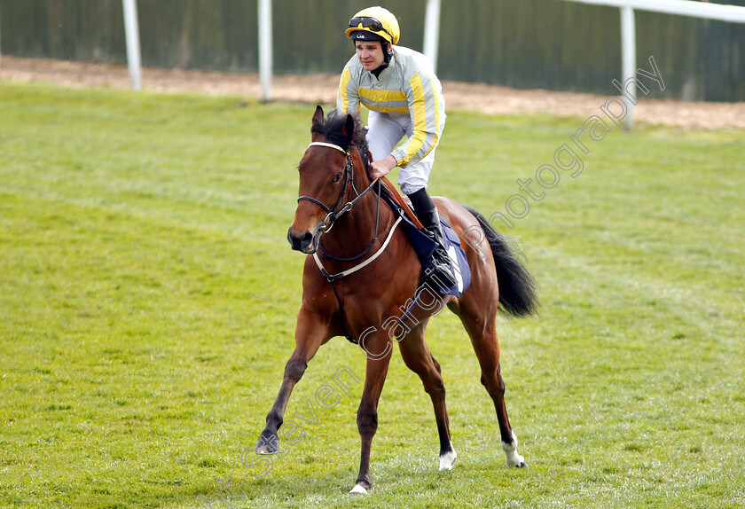 Allez-Sophia-0001 
 ALLEZ SOPHIA (Charles Bishop)
Yarmouth 23 Apr 2019 - Pic Steven Cargill / Racingfotos.com