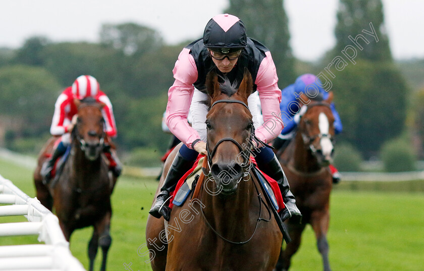 Mr-Monaco-0002 
 MR MONACO (Hector Crouch) wins The My Pension Expert Handicap
Sandown 8 Aug 2024 - Pic Steven Cargill / Racingfotos.com