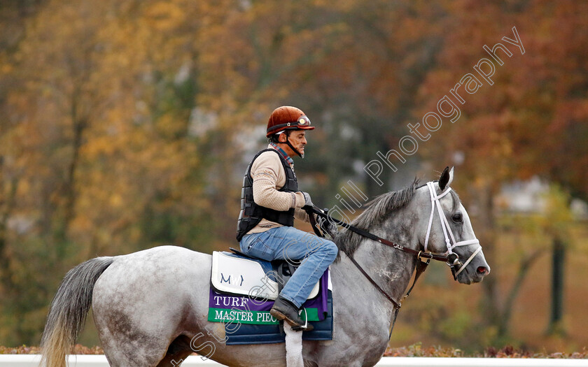 Master-Piece-0001 
 MASTER PIECE training for the Breeders' Cup Turf
Keeneland, USA 31 Oct 2022 - Pic Steven Cargill / Racingfotos.com