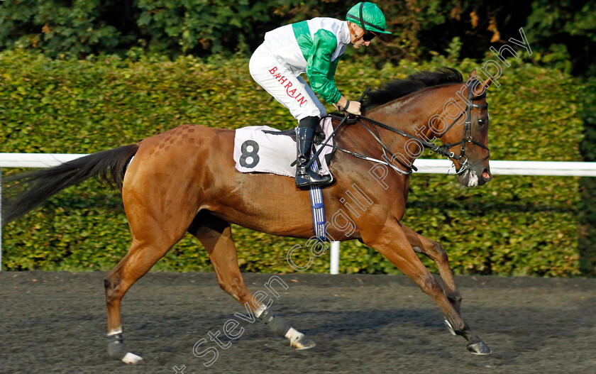 Romilda-0001 
 ROMILDA (Tom Marquand)
Kempton 8 Sep 2023 - Pic Steven Cargill / Racingfotos.com