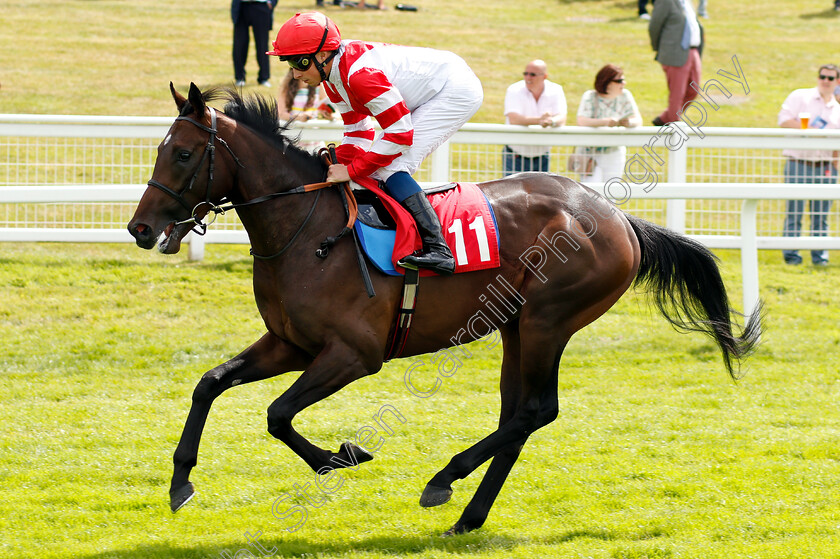 Sinjaari-0001 
 SINJAARI (William Buick) 
Sandown 15 Jun 2018 - Pic Steven Cargill / Racingfotos.com