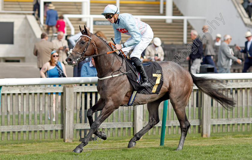 Sarsons-Risk-0001 
 SARSONS RISK (James Doyle)
Newmarket 23 Sep 2021 - Pic Steven Cargill / Racingfotos.com