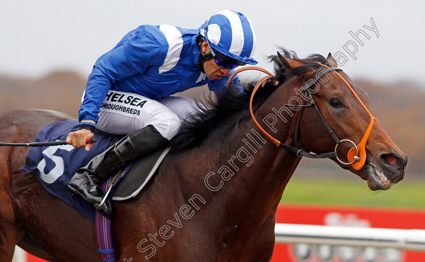 Rajaam-0007 
 RAJAAM (Sean Levey) wins The 32Red.com/EBF Novice Stakes Lingfield 21 Nov 2017 - Pic Steven Cargill / Racingfotos.com