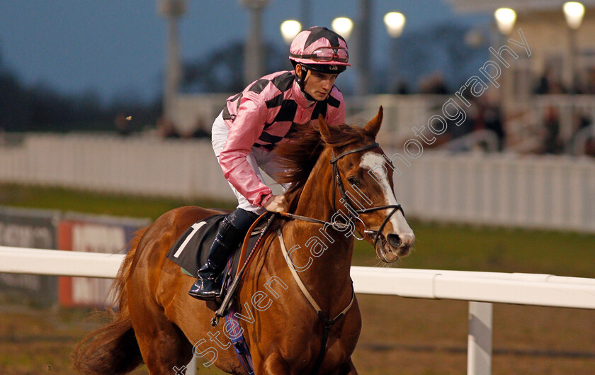 It smabirthday-0001 
 IT'SMABIRTHDAY (Adam McNamara)
Chelmsford 11 Jan 2020 - Pic Steven Cargill / Racingfotos.com