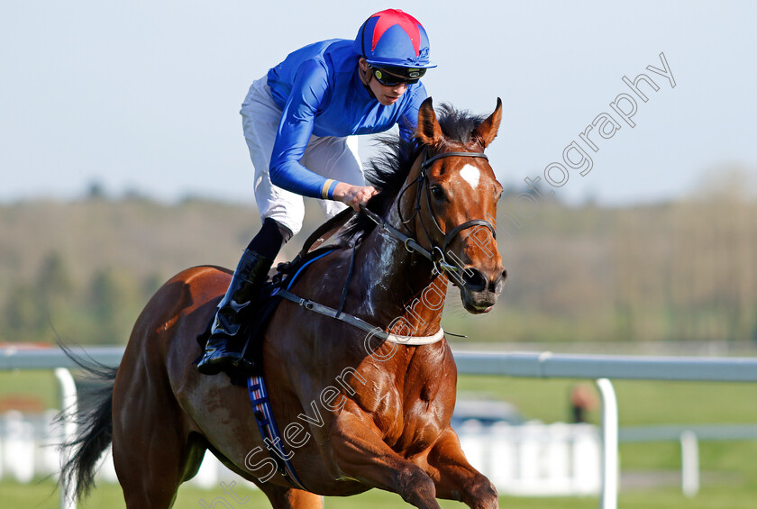 Adorable-0006 
 ADORABLE (James Doyle) wins The Coln Valley Stud Bridget Maiden Fillies Stakes Newbury 20 Apr 2018 - Pic Steven Cargill / Racingfotos.com