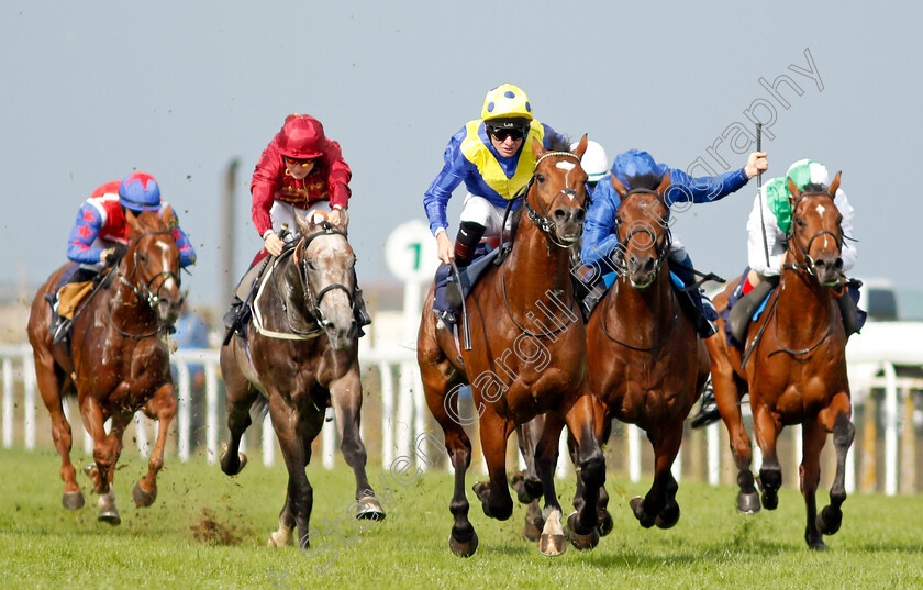 Mighty-Ulysses-0004 
 MIGHTY ULYSEES (Robert Havlin) wins The British Stallion Studs EBF Maiden Stakes
Yarmouth 16 Sep 2021 - Pic Steven Cargill / Racingfotos.com