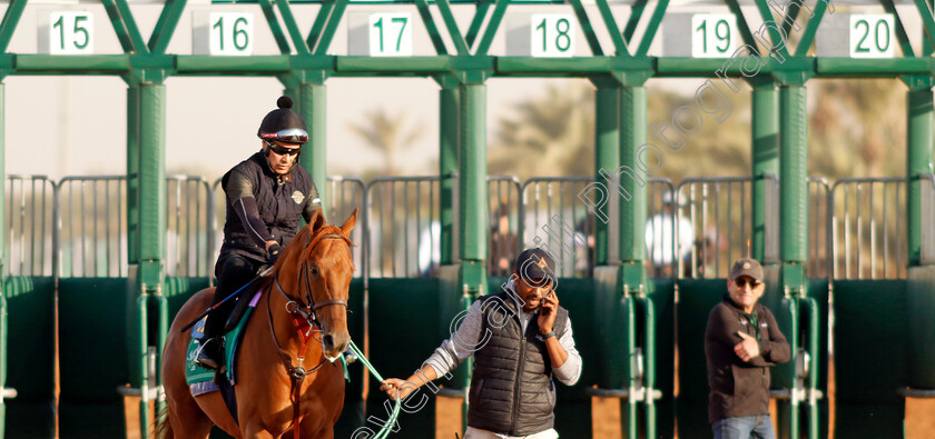 Taiba-0004 
 TAIBA training for the Saudi Cup
King Abdulaziz Racecourse, Kingdom Of Saudi Arabia, 23 Feb 2023 - Pic Steven Cargill / Racingfotos.com