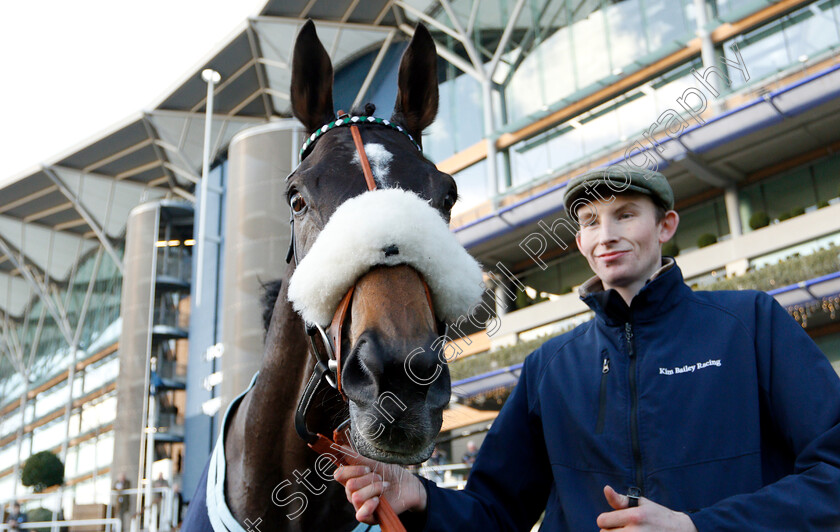 Vinndication-0013 
 VINNDICATION after The Noel Novices Chase
Ascot 21 Dec 2018 - Pic Steven Cargill / Racingfotos.com