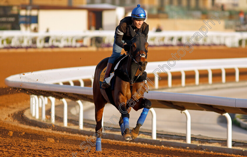 Jack-Darcy-0002 
 JACK DARCY training for The Neom Turf Cup
King Abdulaziz Racecourse, Saudi Arabia 21 Feb 2024 - Pic Steven Cargill / Racingfotos.com