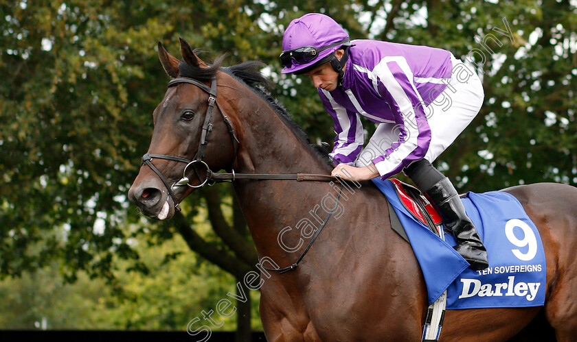 Ten-Sovereigns-0001 
 TEN SOVEREIGNS (Ryan Moore) before The Darley July Cup
Newmarket 13 Jul 2019 - Pic Steven Cargill / Racingfotos.com