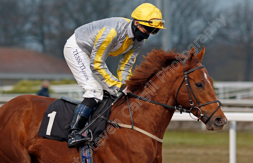 The-Whipmaster-0001 
 THE WHIPMASTER (Tom Queally)
Chelmsford 27 Nov 2021 - Pic Steven Cargill / Racingfotos.com