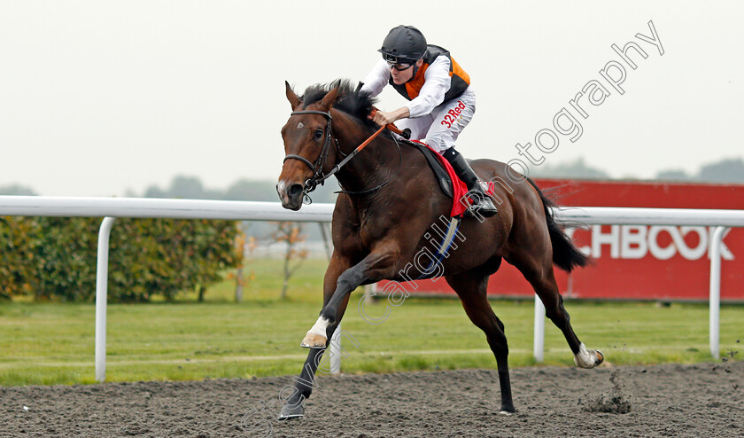 Teppal-0004 
 TEPPAL (Jamie Spencer) wins The Matchbook British Stallion Studs EBF Fillies Novice Stakes Div1 Kempton 25 Sep 2017 - Pic Steven Cargill / Racingfotos.com