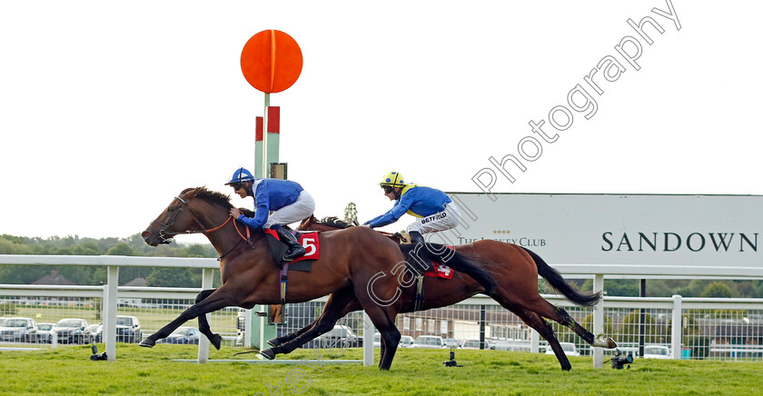 Hukum-0001 
 HUKUM (Jim Crowley) beats DESERT CROWN in The Racehorse Lotto Brigadier Gerard Stakes
Sandown 25 May 2023 - Pic Steven Cargill / Racingfotos.com