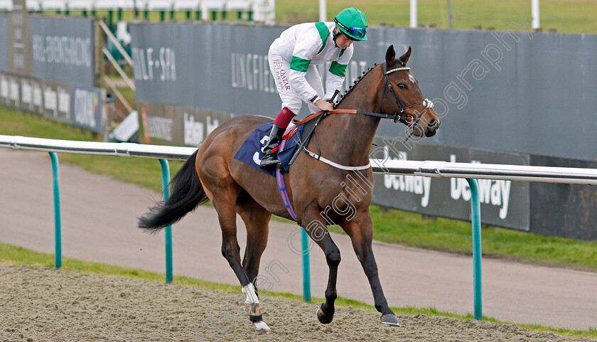 Exalted-Angel 
 EXALTED ANGEL (Cieren Fallon)
Lingfield 5 Feb 2022 - Pic Steven Cargill / Racingfotos.com