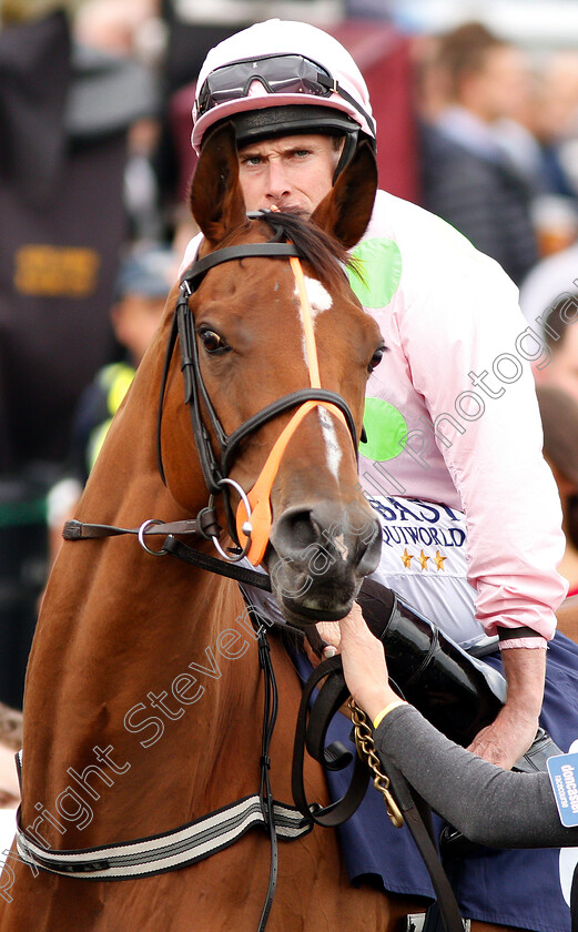 Thomas-Hobson-0001 
 THOMAS HOBSON (Ryan Moore) before winning The Doncaster Cup Stakes
Doncaster 14 Sep 2018 - Pic Steven Cargill / Racingfotos.com