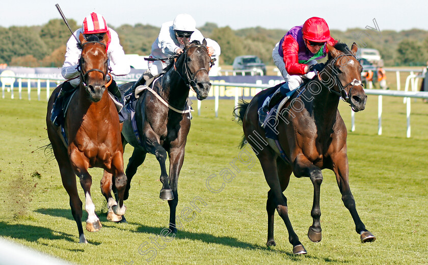 Lucander-0003 
 LUCANDER (Rob Hornby) beats WILD THUNDER (right) and KINGBROOK (centre) in The Napoleons Casinos & Restaurants Nursery
Doncaster 14 Sep 2019 - Pic Steven Cargill / Racingfotos.com