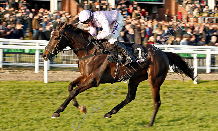 North-Hill-Harvey-0004 
 NORTH HILL HARVEY (Harry Skelton) wins The Racing Post Arkle Trophy Trial Novices Chase Cheltenham 19 Nov 2017 - Pic Steven Cargill / Racingfotos.com