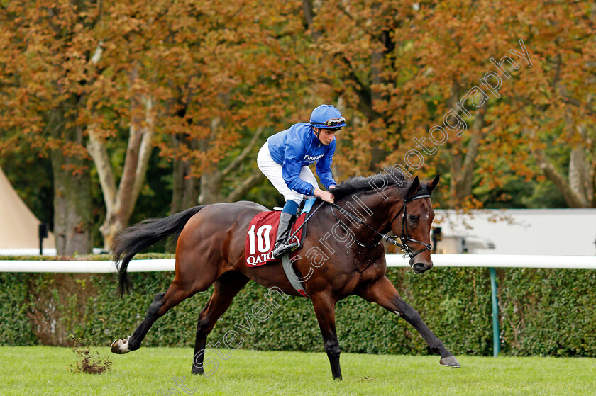 Adayar 
 ADAYAR (William Buick)
Longchamp 3 Oct 2021 - Pic Steven Cargill / Racingfotos.com