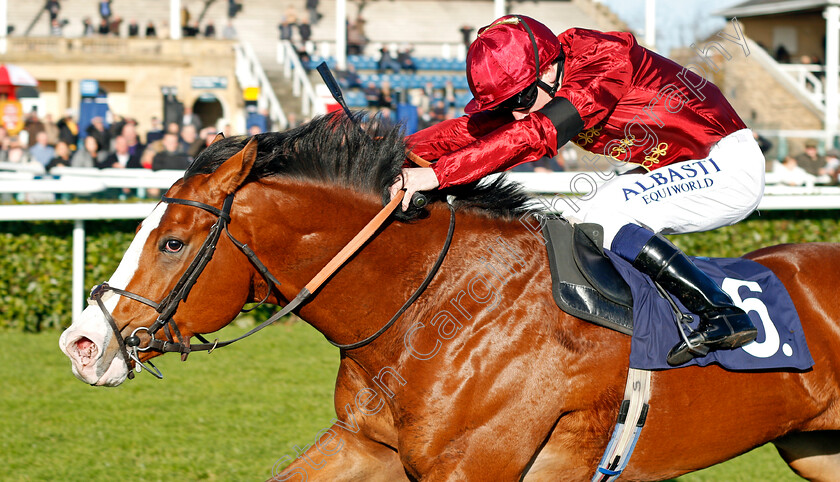 Raid-0004 
 RAID (Oisin Murphy) wins The Betfred Mobile Cock O'The North EBF Maiden Stakes Doncaster 11 Nov 2017 - Pic Steven Cargill / Racingfotos.com