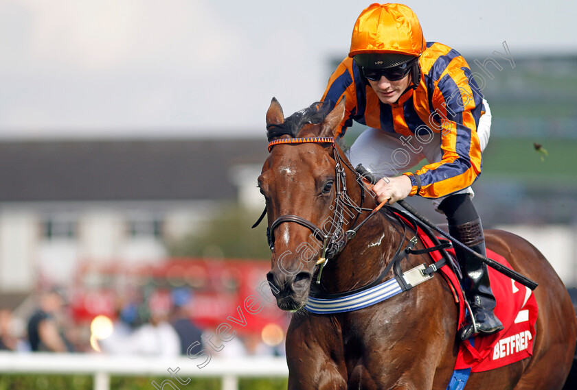 Dancing-Gemini-0001 
 DANCING GEMINI (Lewis Edmunds) wins The Betfred Flying Scotsman Stakes
Doncaster 15 Sep 2023 - Pic Steven Cargill / Racingfotos.com