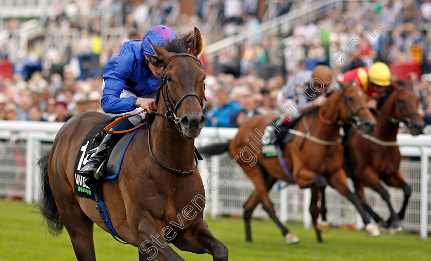 Migration-0006 
 MIGRATION (William Buick) wins The Unibet You're On Chesterfield Cup
Goodwood 27 Jul 2021 - Pic Steven Cargill / Racingfotos.com