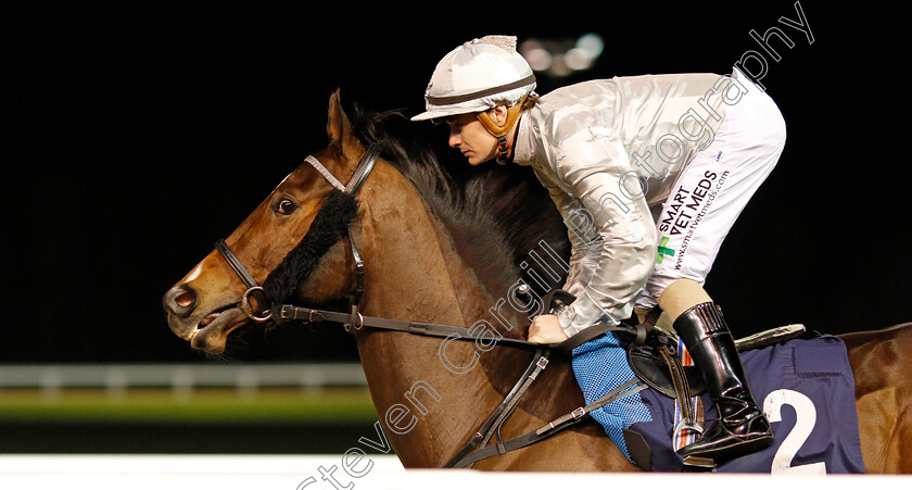 King-Of-Arms-0001 
 KING OF ARMS (Kieran O'Neill)
Wolverhampton 21 Feb 2020 - Pic Steven Cargill / Racingfotos.com