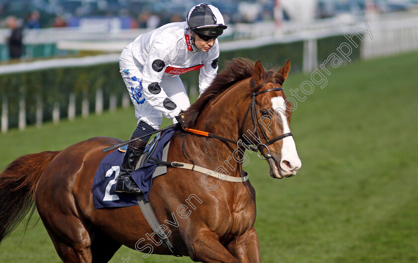 Baryshnikov-0001 
 BARYSHNIKOV (Connor Beasley)
Doncaster 2 Apr 2023 - Pic Steven Cargill / Racingfotos.com