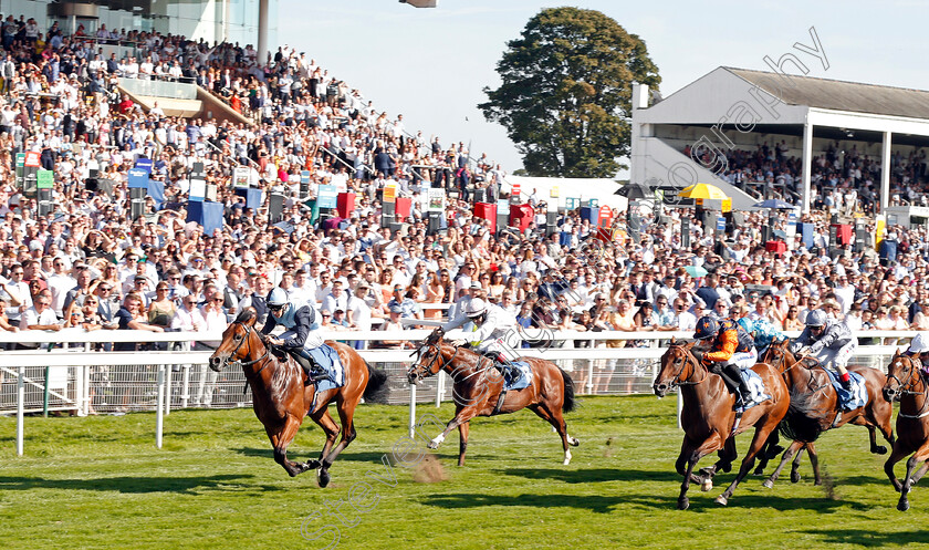 Alligator-Alley-0001 
 ALLIGATOR ALLEY (Donnacha O'Brien) wins The Julia Graves Roses Stakes
York 24 Aug 2019 - Pic Steven Cargill / Racingfotos.com