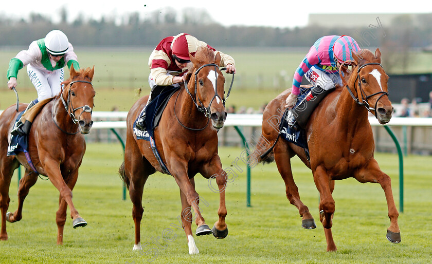 Examiner-0002 
 EXAMINER (right, Fran Berry) beats RED TEA (centre) in The Plusvital Energene-Q10 Handicap Newmarket 17 Apr 2018 - Pic Steven Cargill / Racingfotos.com