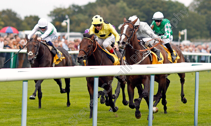 Golden-Flame-0003 
 GOLDEN FLAME (Joe Fanning) wins The My Odds Boost On Betfair Handicap
Haydock 4 Sep 2021 - Pic Steven Cargill / Racingfotos.com