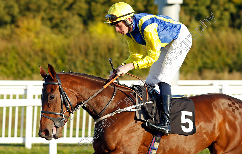 Neoma-0001 
 NEOMA (Callum Shepherd)
Chelmsford 3 Oct 2024 - Pic Steven Cargill / Racingfotos.com