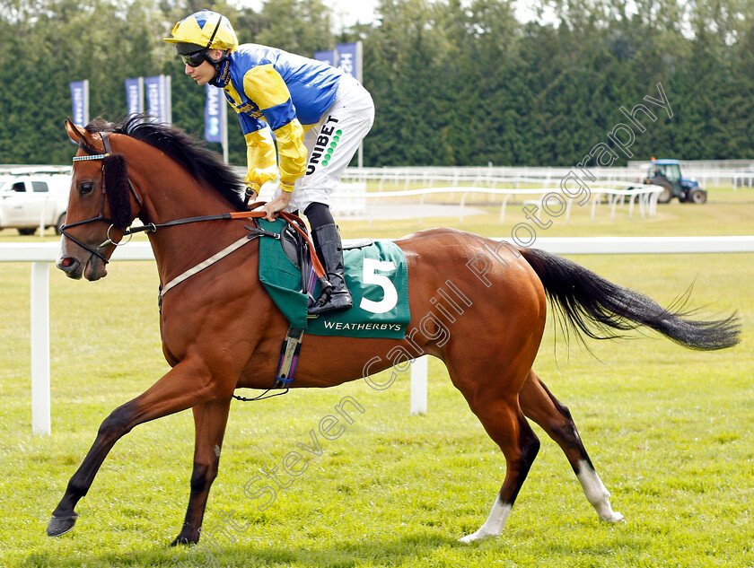 Electric-Ladyland-0001 
 ELECTRIC LADYLAND (Luke Morris)
Newbury 20 Jul 2019 - Pic Steven Cargill / Racingfotos.com