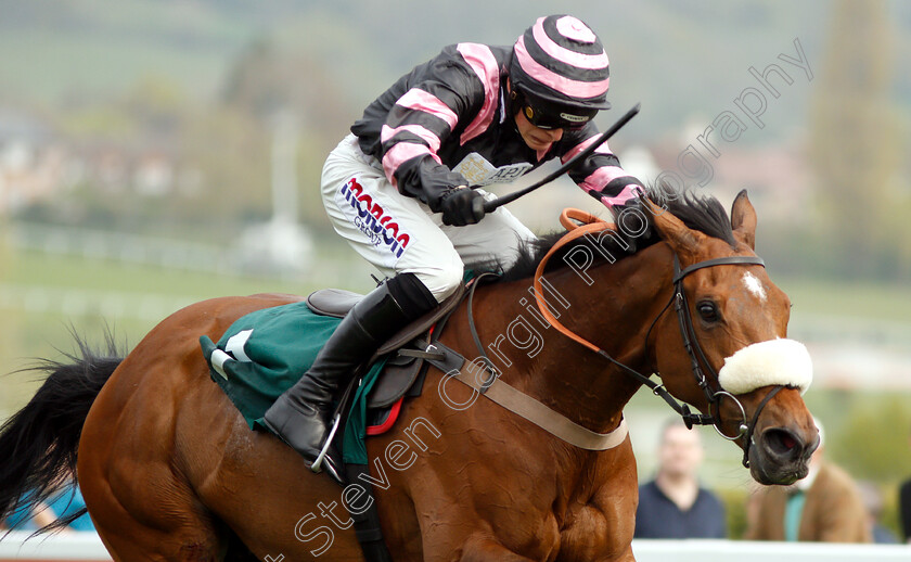 Kupatana-0009 
 KUPATANA (Harry Cobden) wins The EBF Thoroughbred Breeders Association Mares Novices Handicap Chase Series Final
Cheltenham 18 Apr 2019 - Pic Steven Cargill / Racingfotos.com