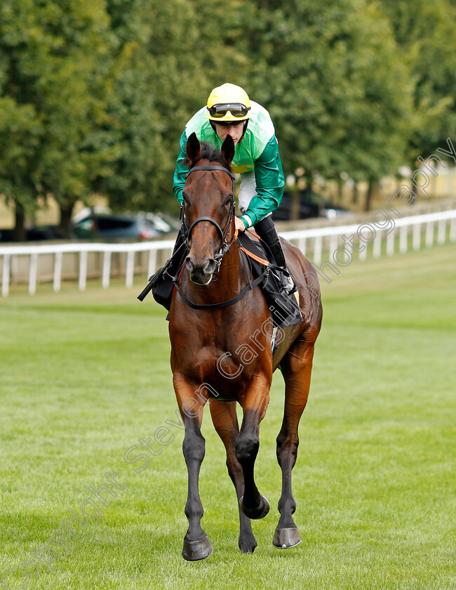 Uzincso 
 UZINCSO (Richard Kingscote)
Newmarket 30th July 2022 - Pic Steven Cargill / Racingfotos.com