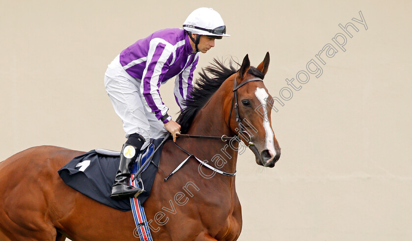 Alluringly-0001 
 ALLURINGLY (Wayne Lordan) Curragh 10 Se0 2017 - Pic Steven Cargill / Racingfotos.com