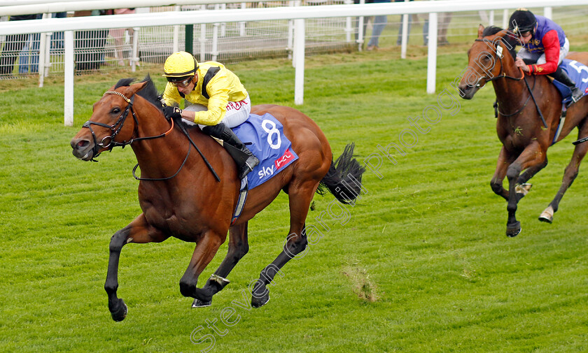 Gaassee-0002 
 GAASSEE (Tom Marquand) wins The Sky Bet Race To The Ebor Jorvik Handicap
York 11 May 2022 - Pic Steven Cargill / Racingfotos.com