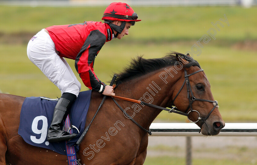 Usanecolt-0001 
 USANECOLT (Adam McNamara)
Lingfield 4 Oct 2018 - Pic Steven Cargill / Racingfotos.com