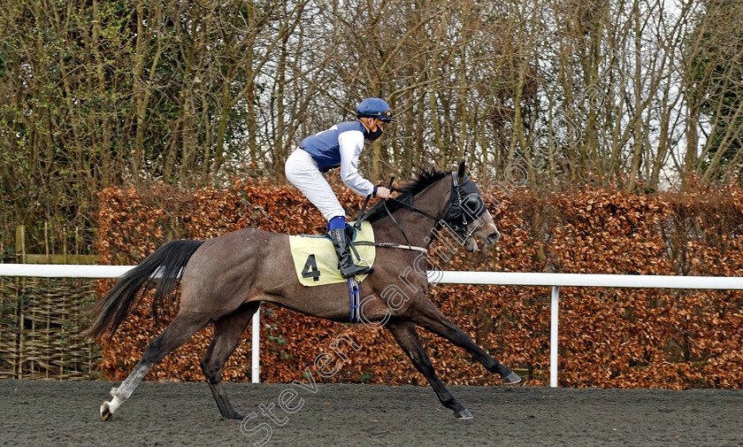 Obtuse-0001 
 OBTUSE (Pierre-Louis Jamin)
Kempton 24 Feb 2021 - Pic Steven Cargill / Racingfotos.com