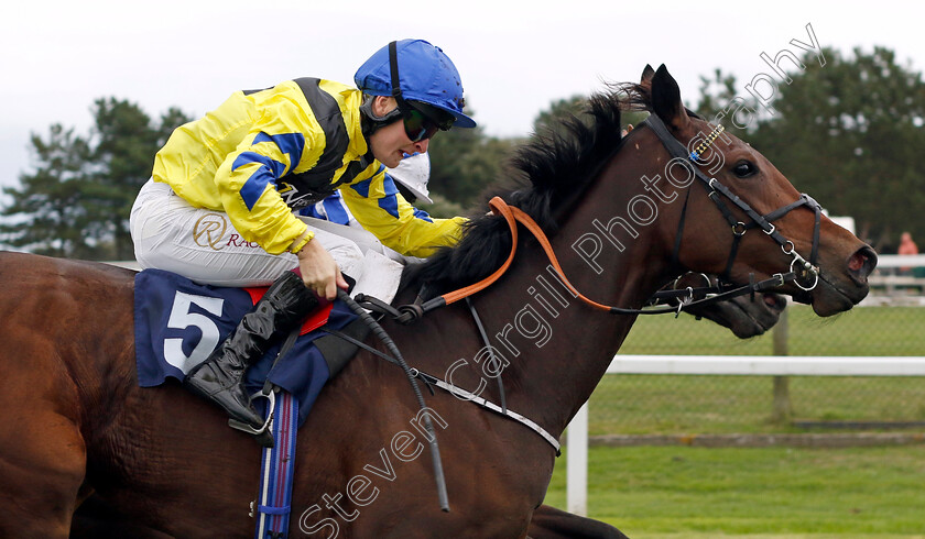 Coco-Royale-0003 
 COCO ROYALE (Cieren Fallon) wins The Stream Racing At Bresbet.com Handicap
Yarmouth 16 Oct 2023 - Pic Steven Cargill / Racingfotos.com